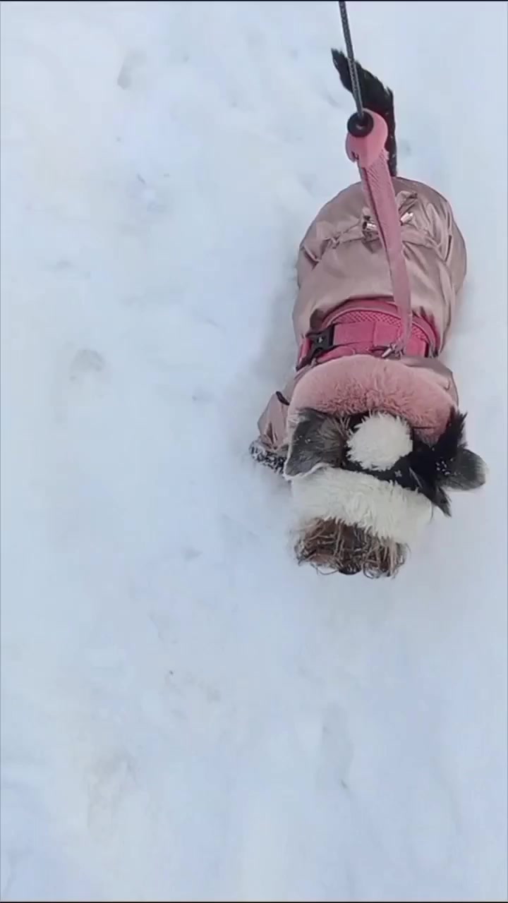 @Виктория