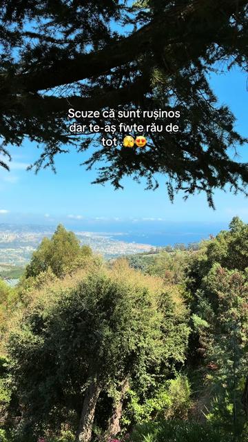 @Mădălin🖤