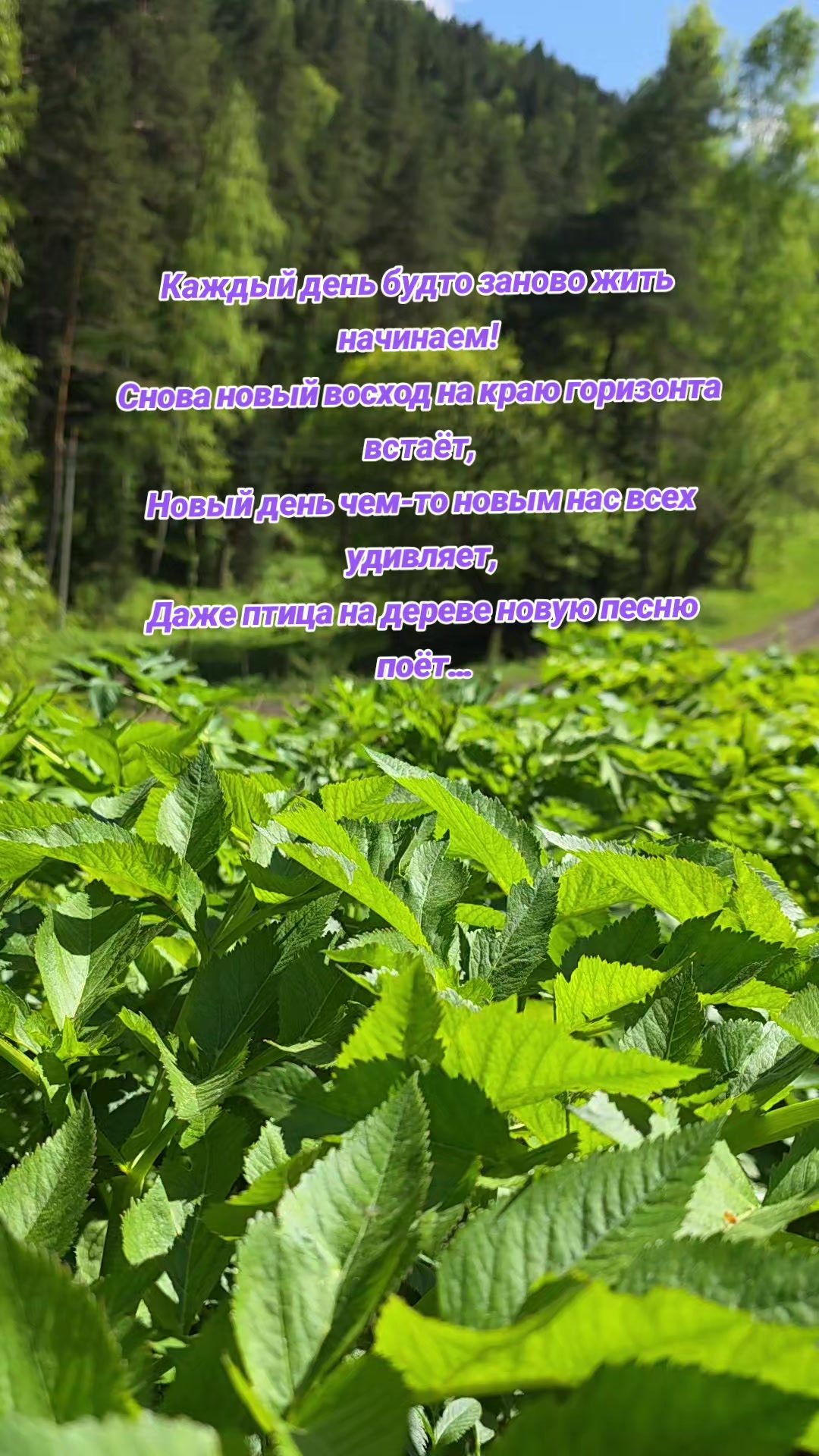 @Яркое Лето