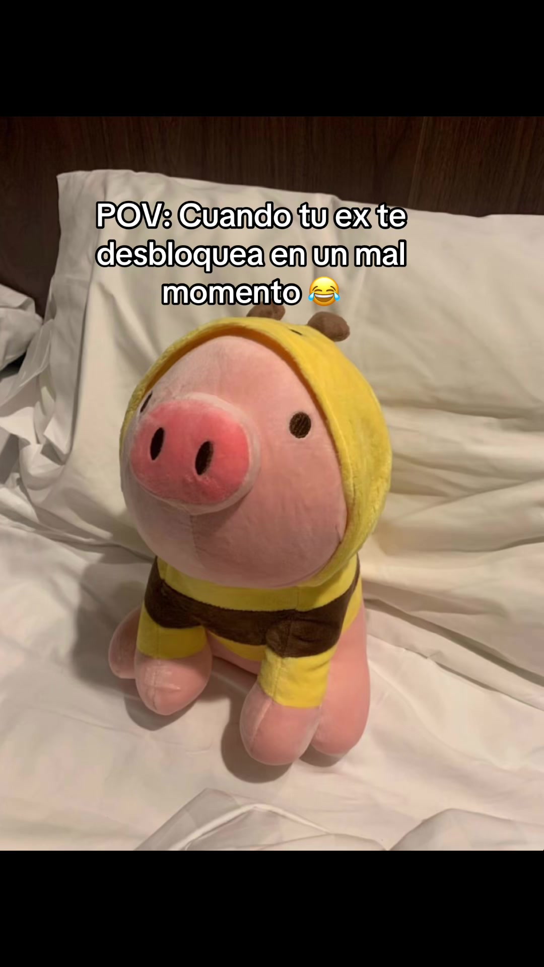 @𝒜𝓁ℯ❤️🩹.