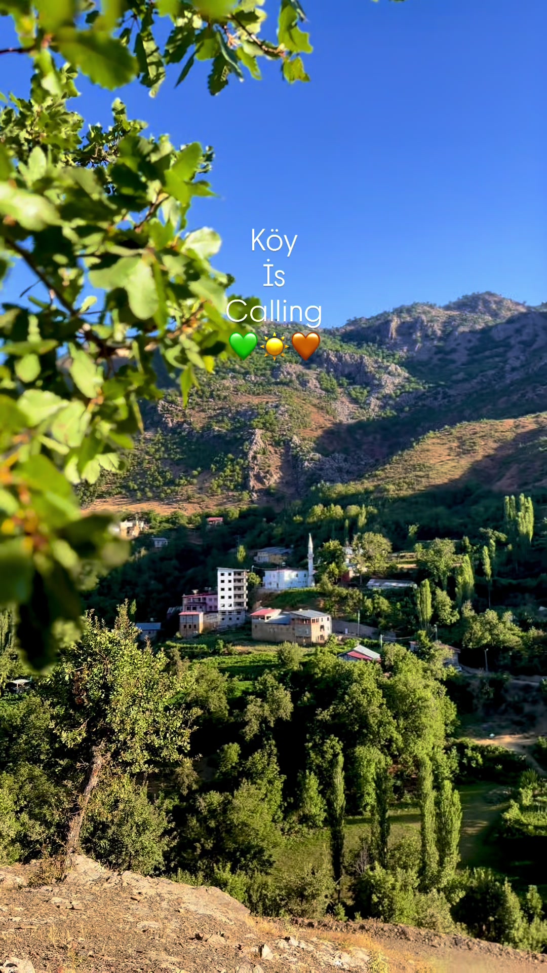 @𝑺̧&lsquo;🎶
