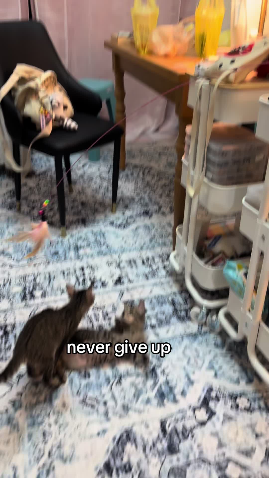 @𝙲𝙷𝙻𝙾𝙴