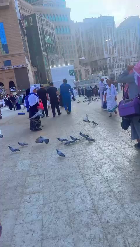 @Asif 129