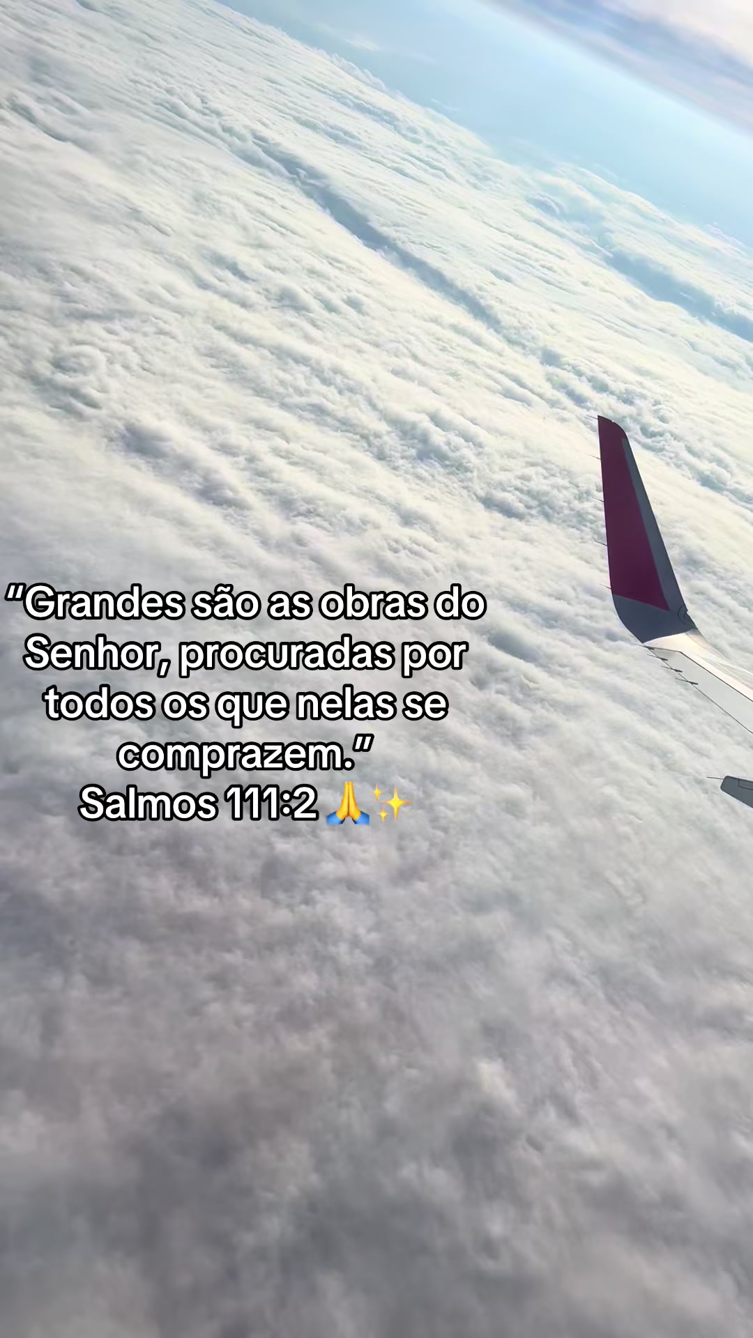 @joana Lima