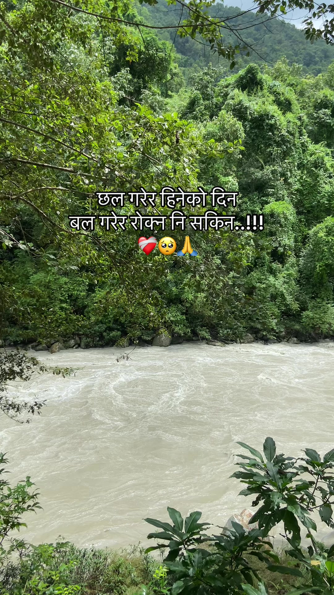 @mandipjungchhetri7