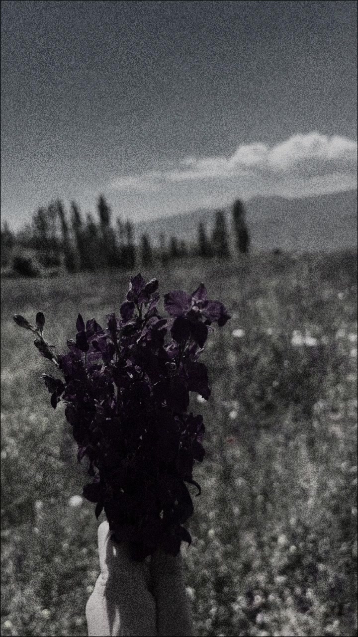 @🖤