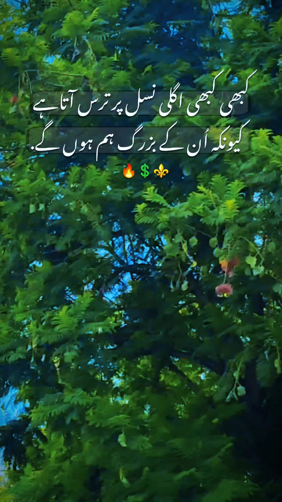 @Talha ki id