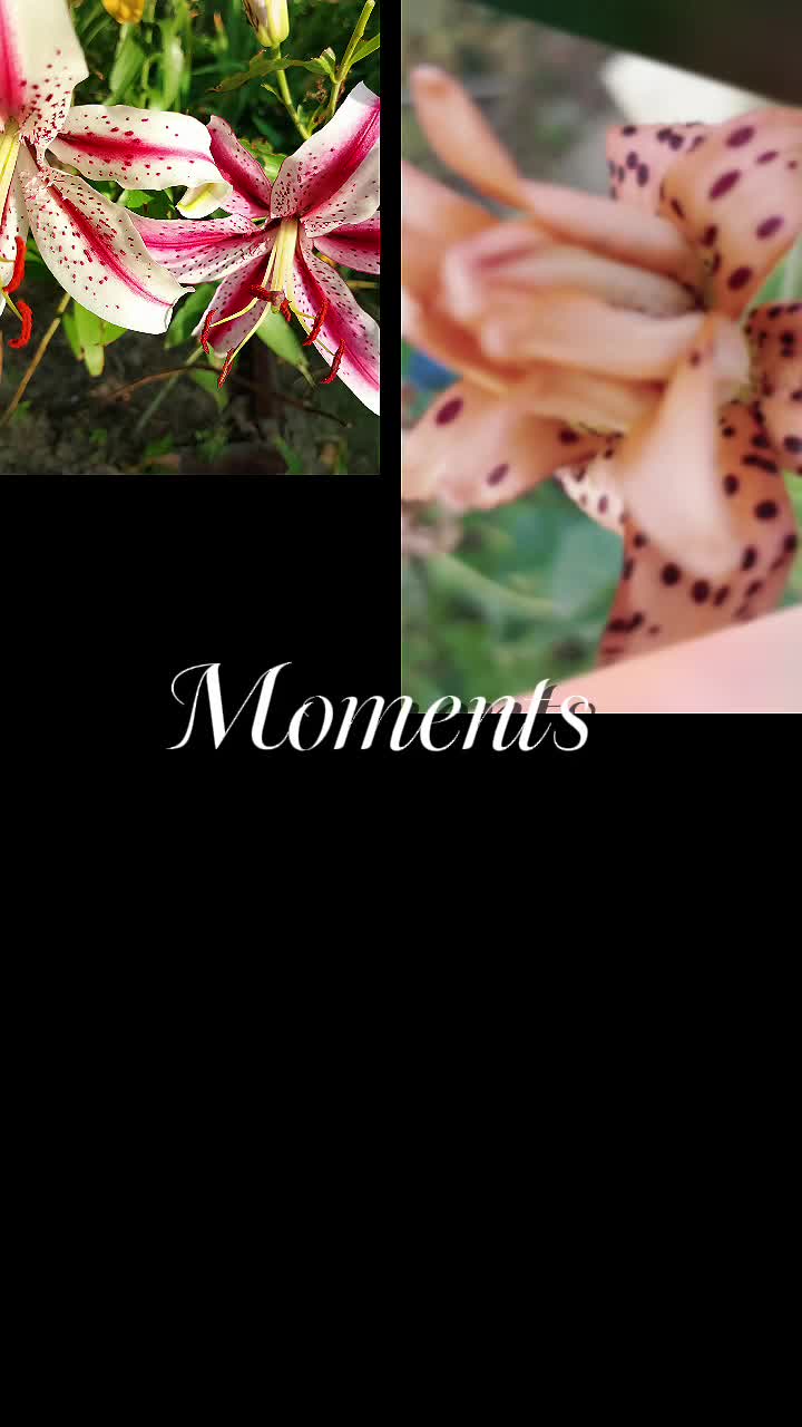 @MaGdaC