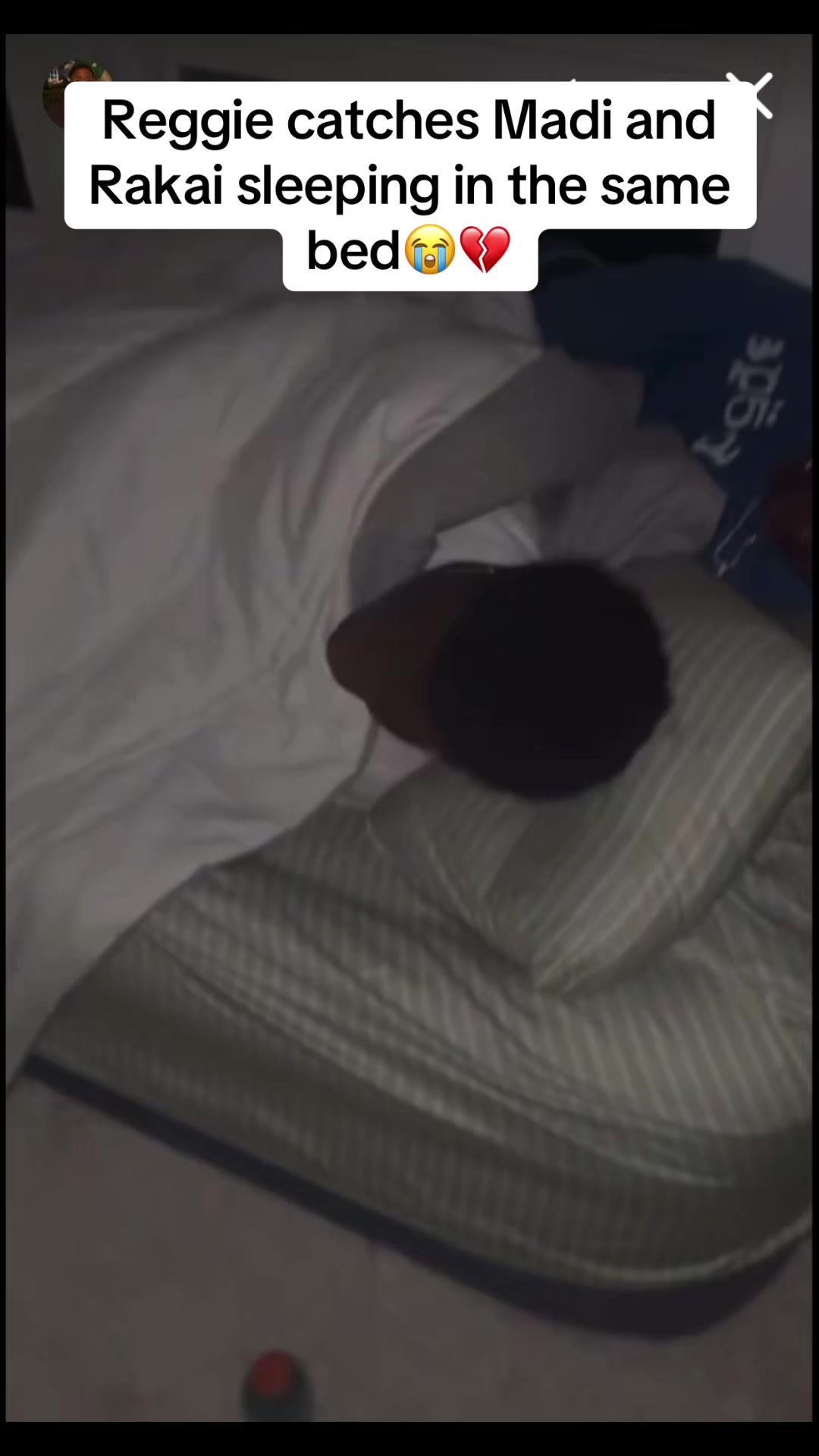 @clipzspamzs