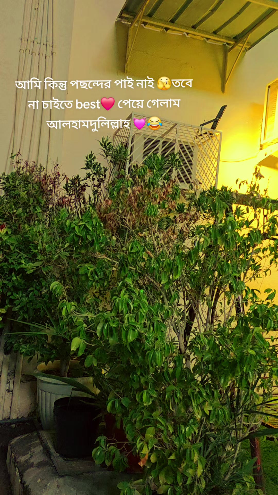 @💞Wafa Sultana💞