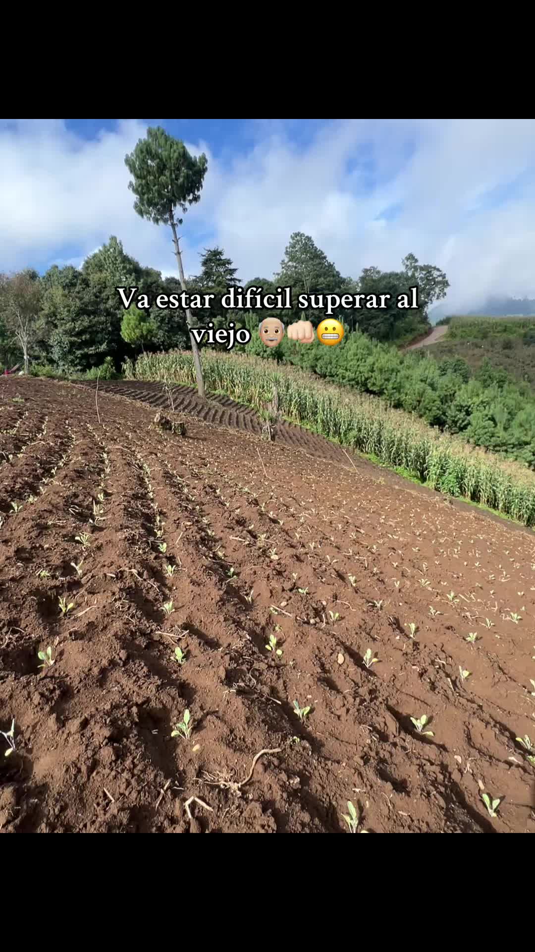 @Victor🌱🚜