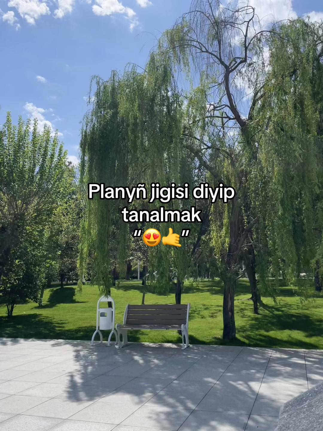 @B_ns.71