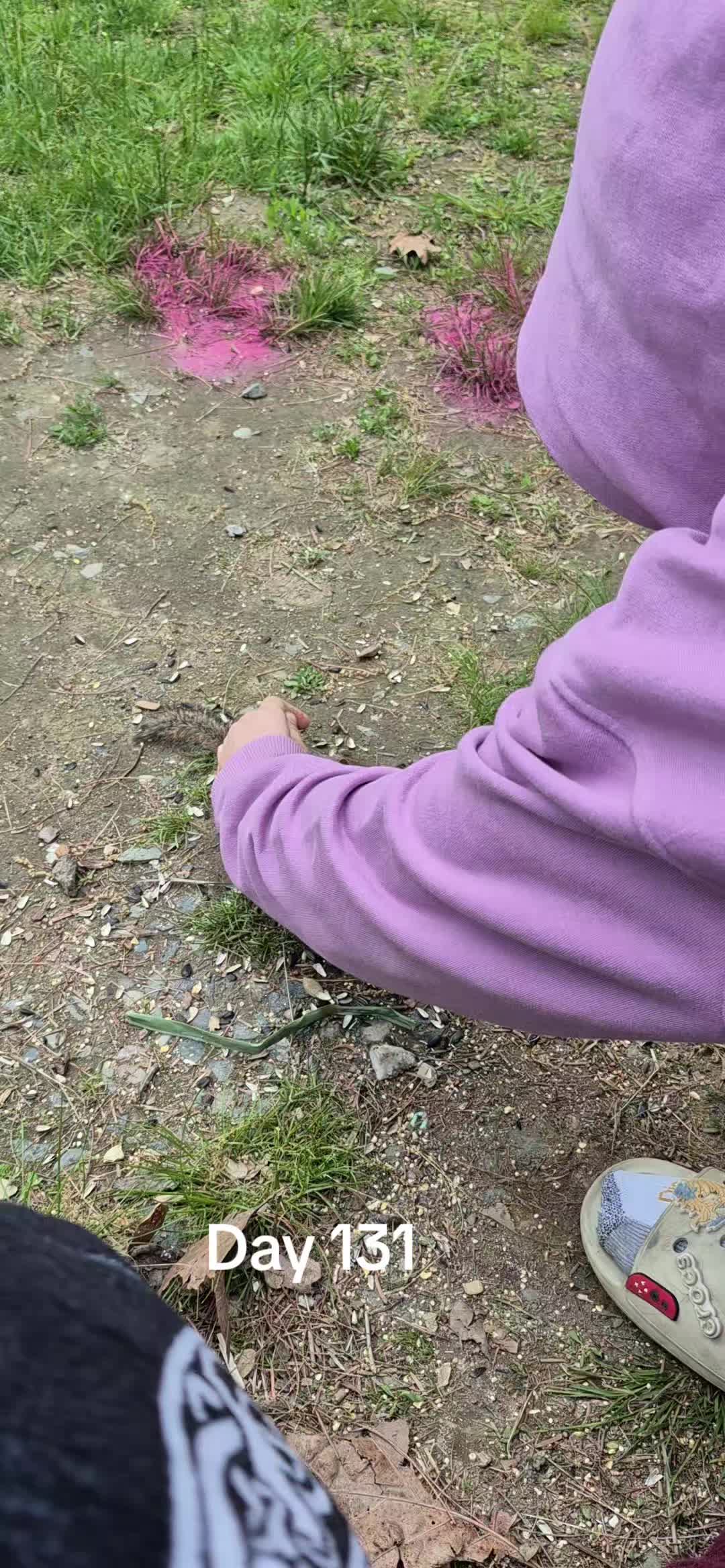 @EveninAcadia