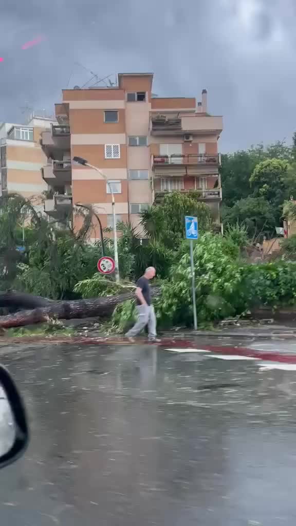 @Weather Insider