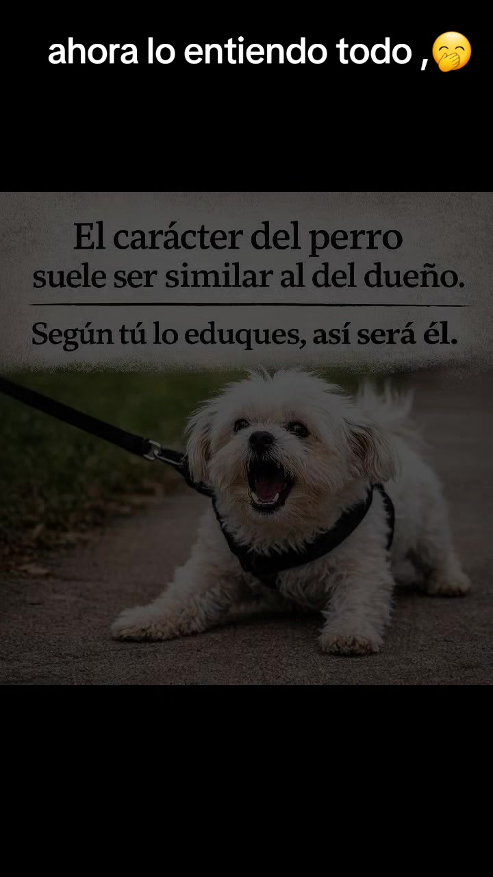 @varcan❤️