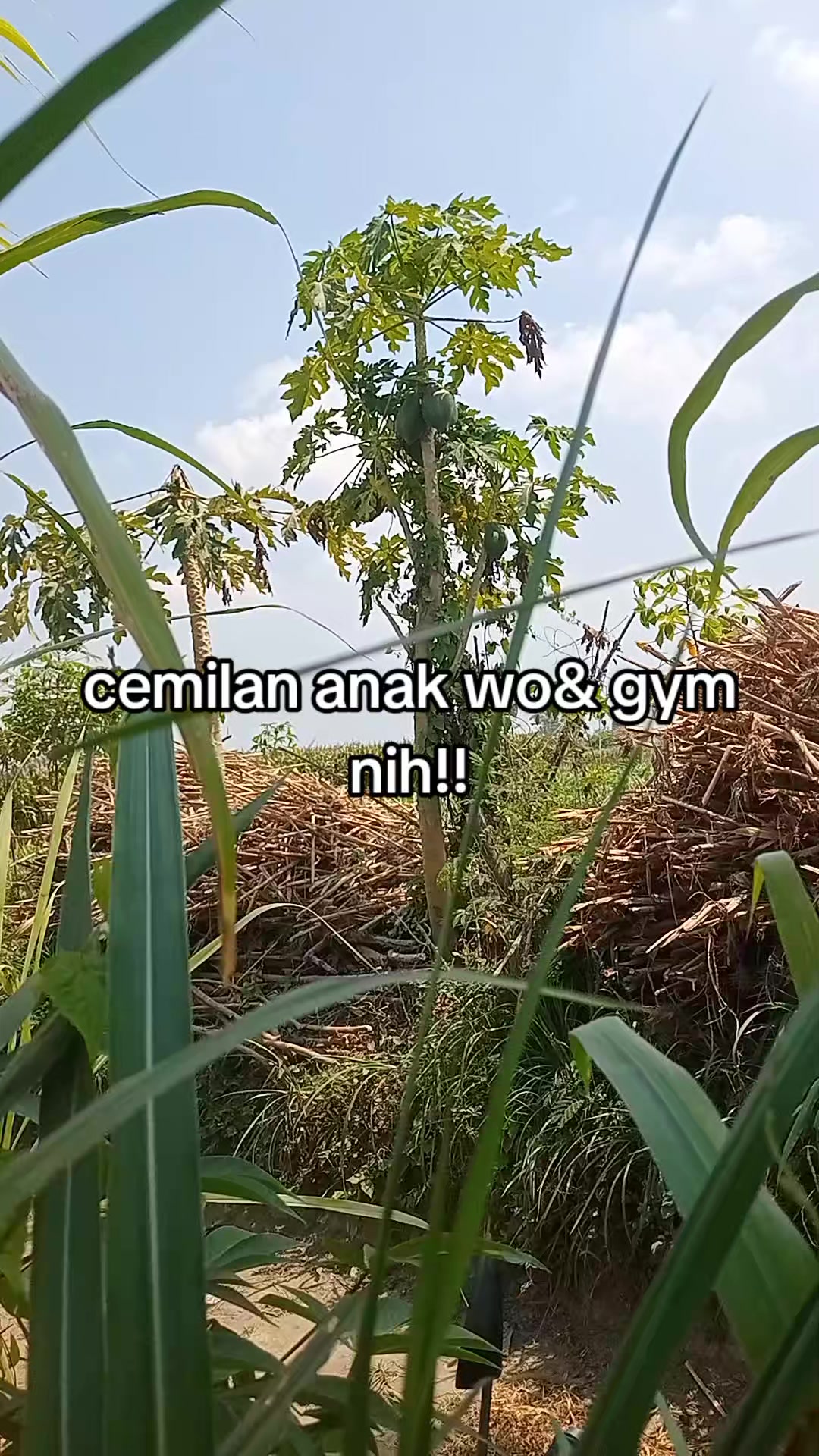 @smuabarang_ada