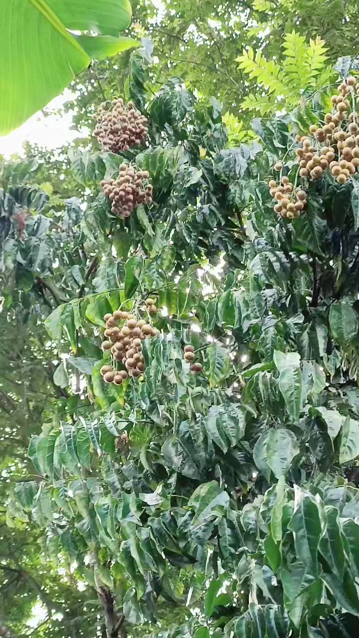 @Hoàng Thùy Yoga💯