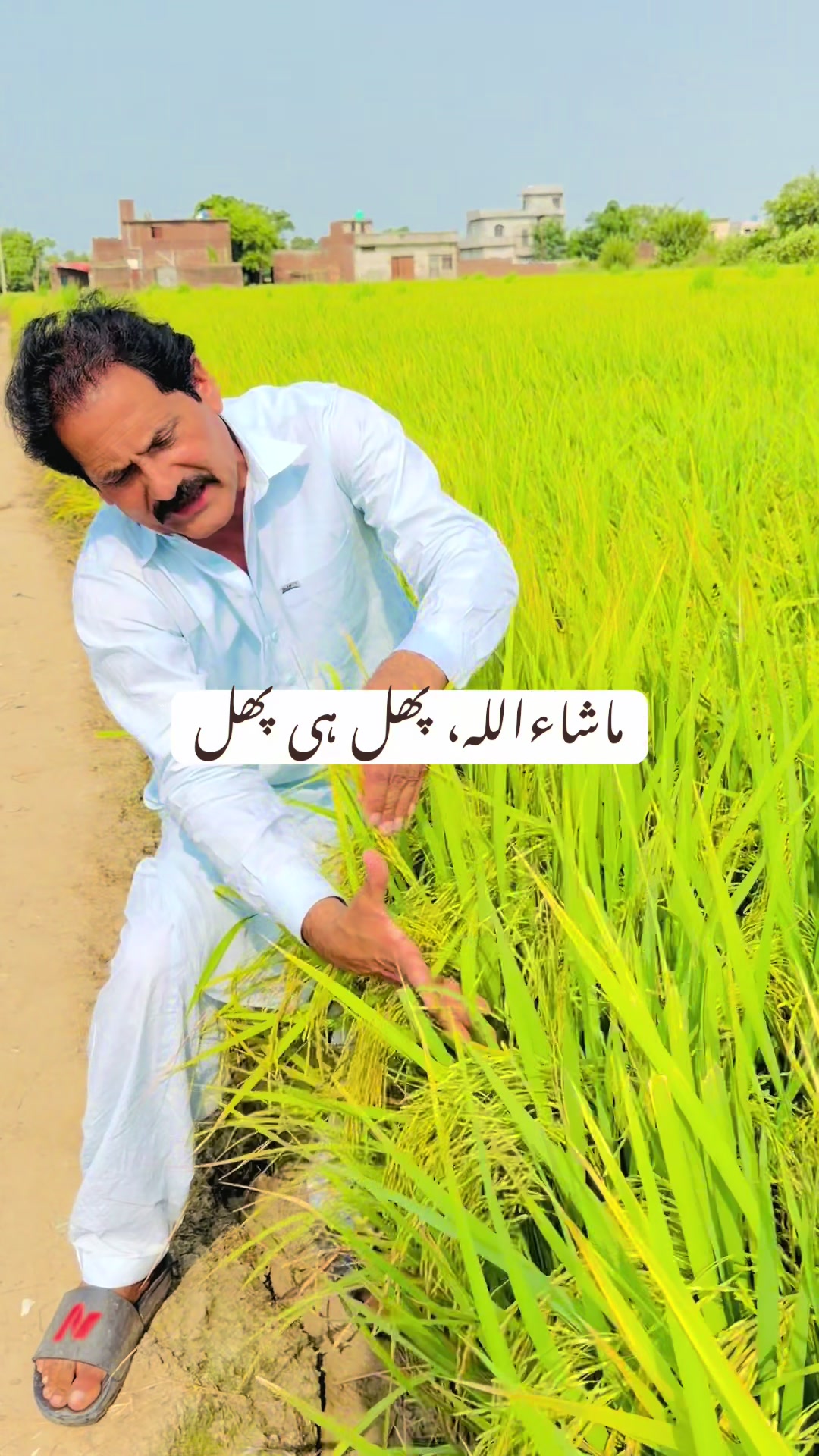 @ch Nabi Ahmed