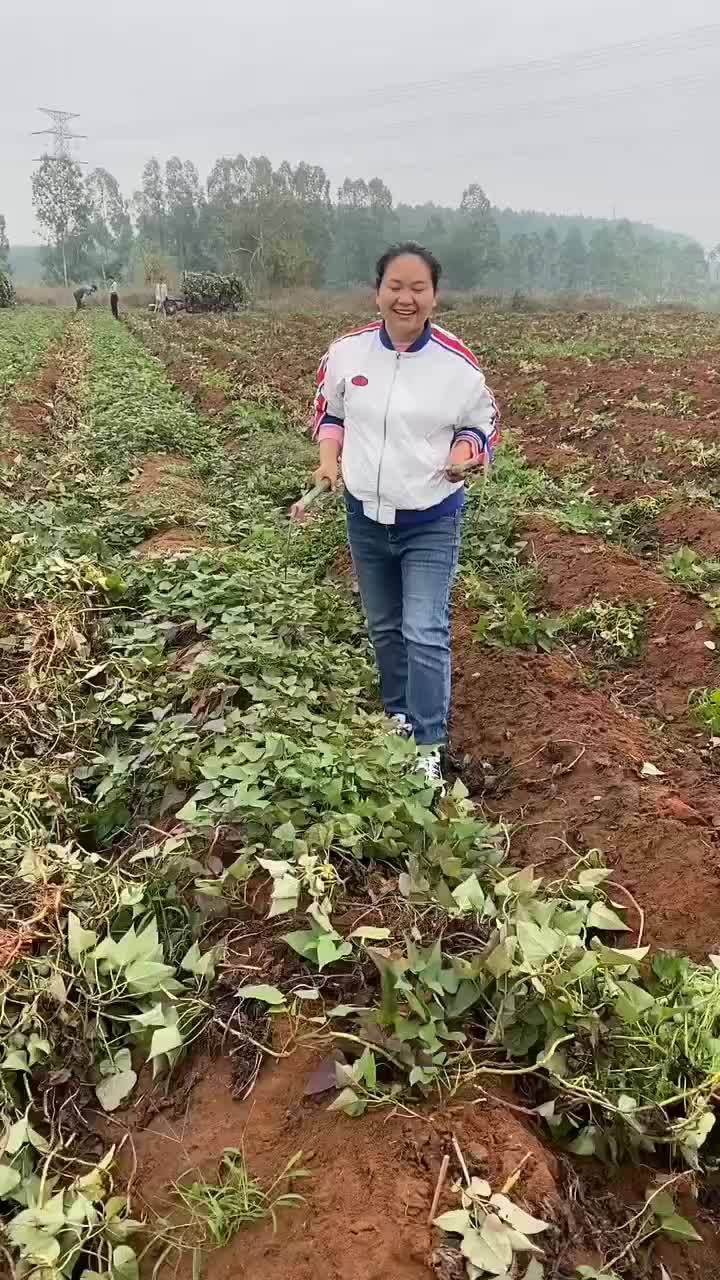 @kdyxjgi..__364