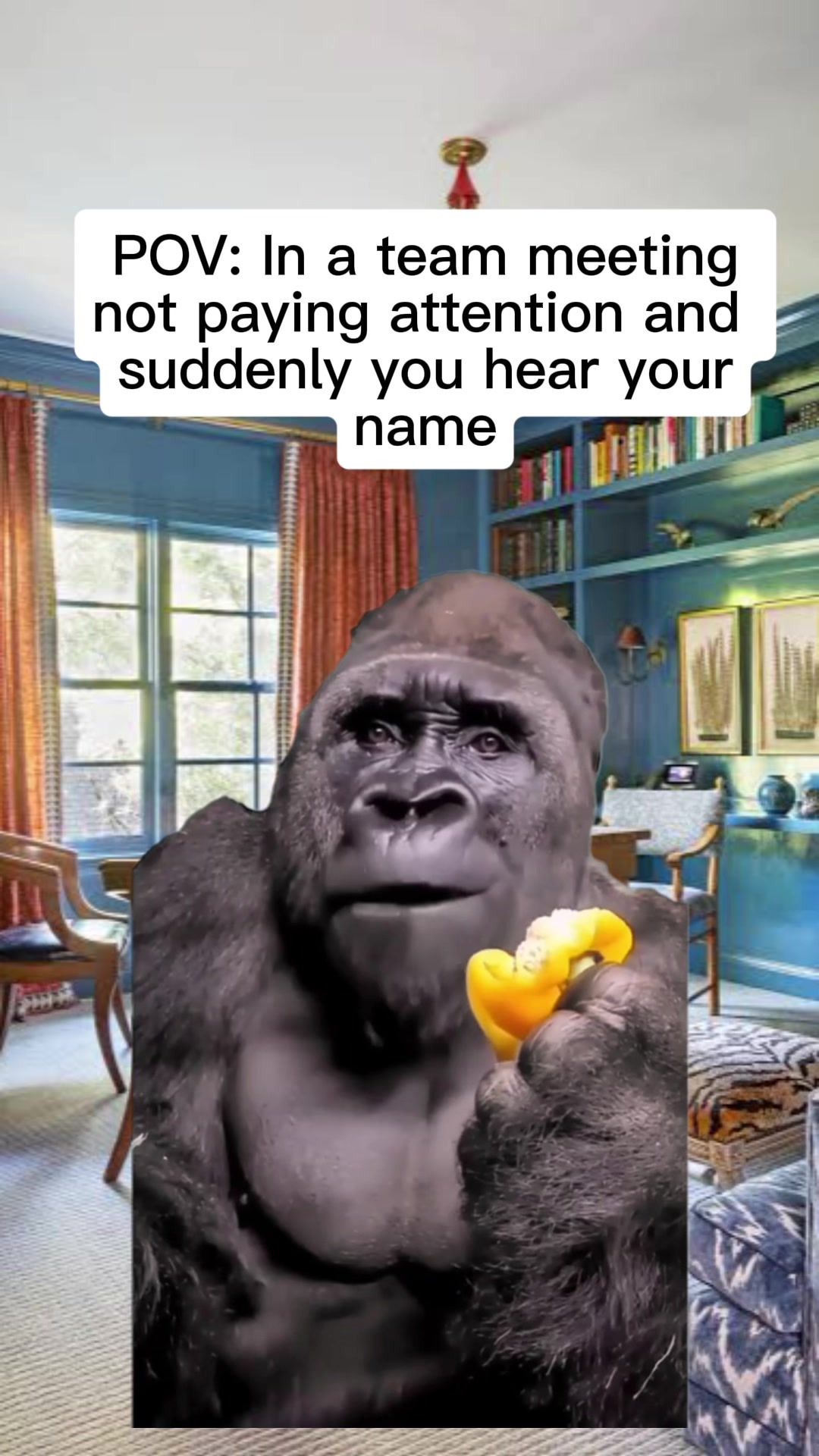 @Amy