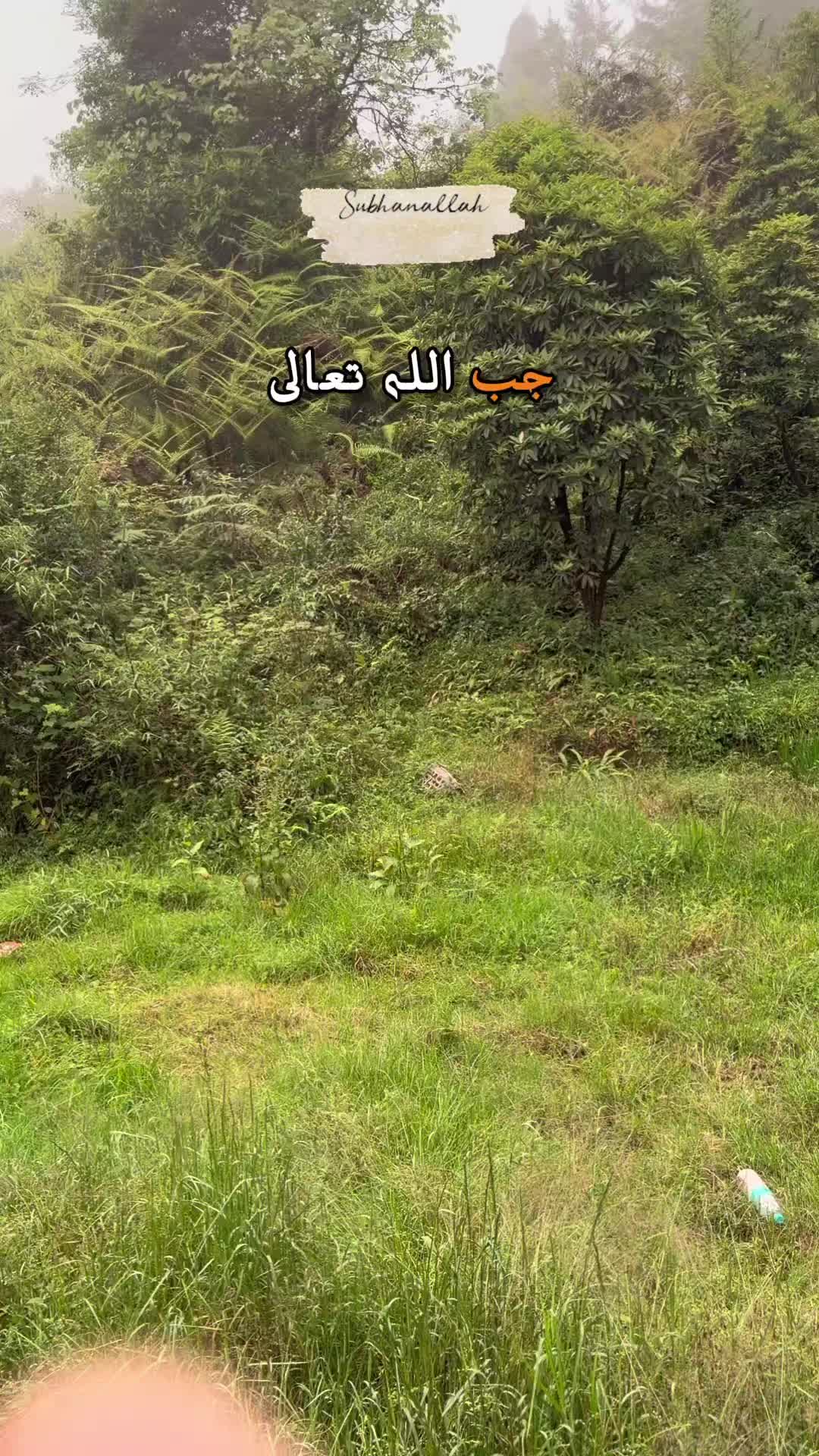 @M S Khan Azmi 017
