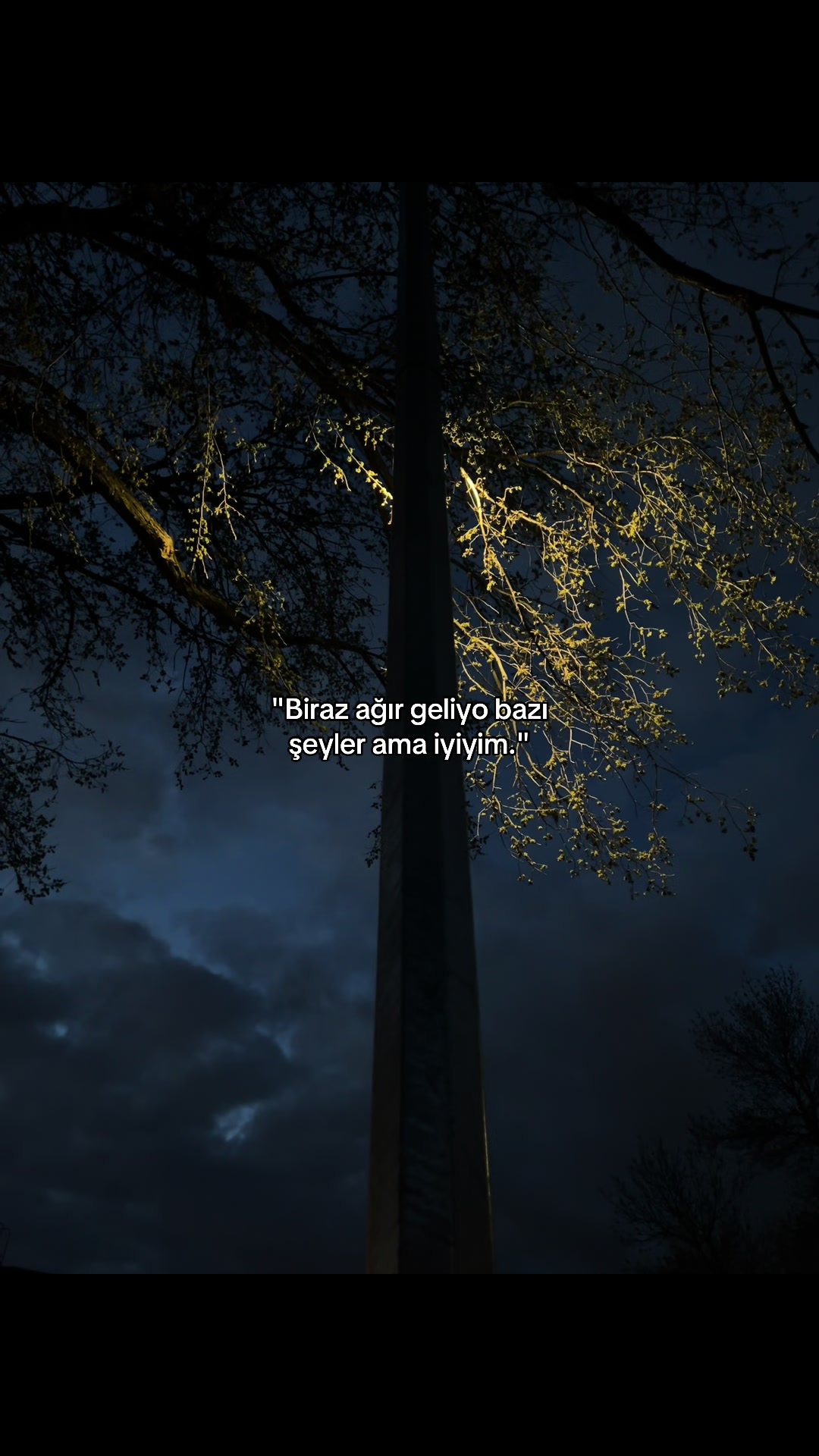 @𝓓.