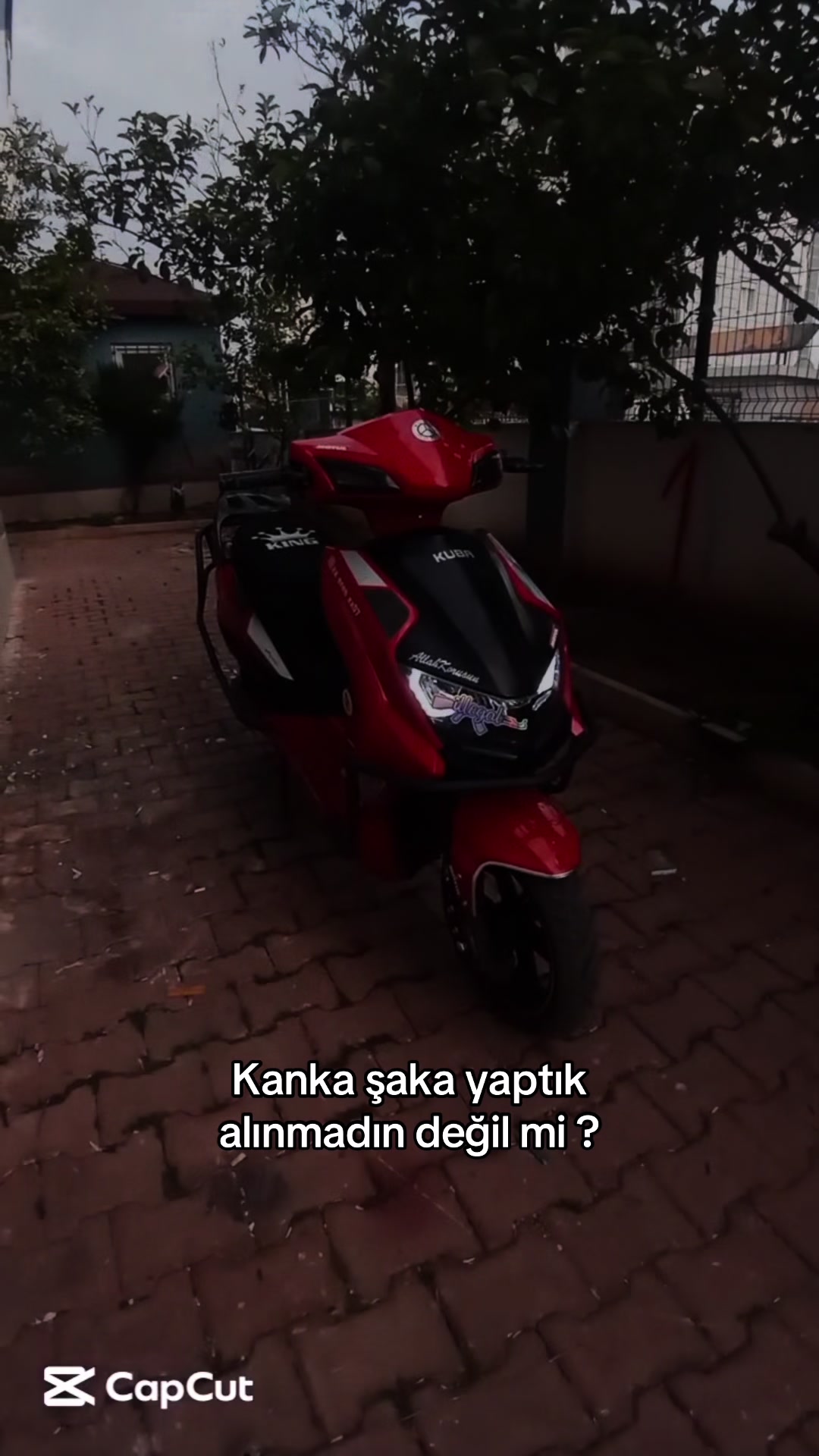 @ANT MOTOR