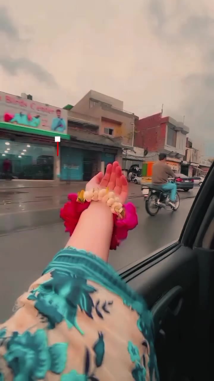 @🄼🄴🄷🄰🄺🅂🄷🄴🄸🄺🄷🌹🐺