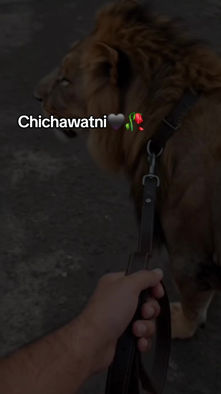@𝐂hichawatni-Edits🙃