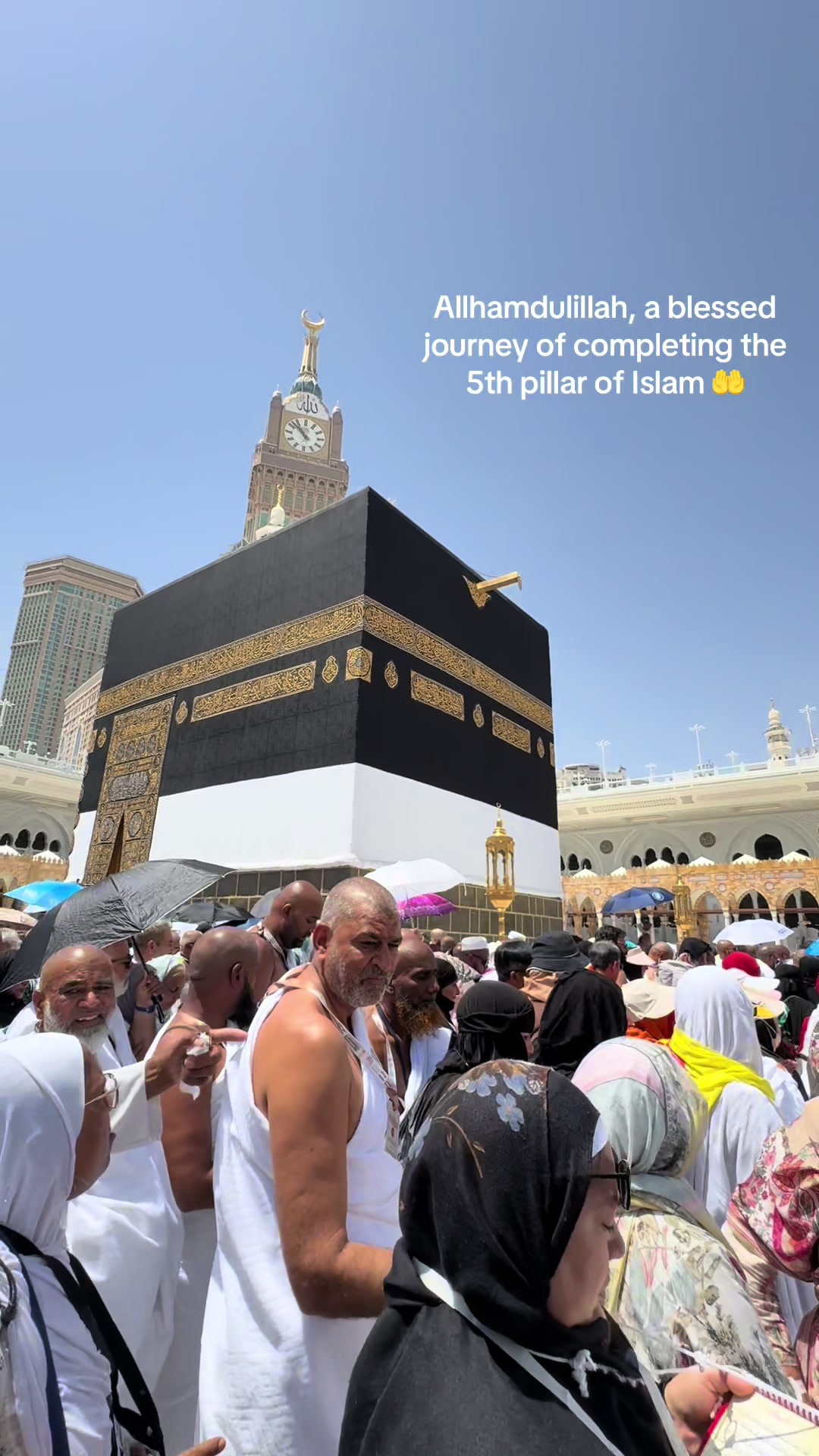 @محمد شهين