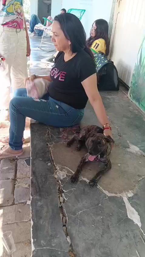 @BelitaPets