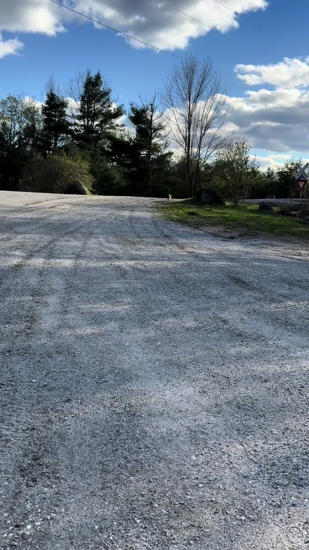 @Central vt rail vids on yt