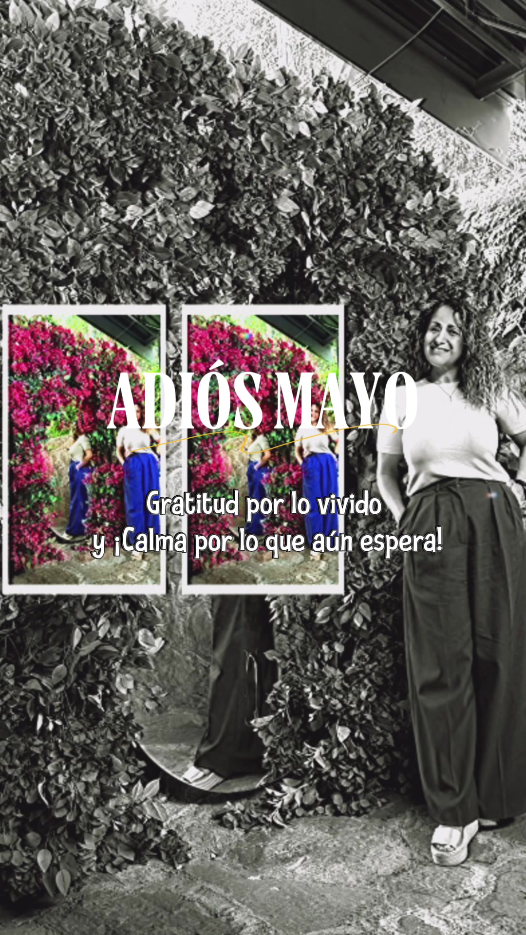 @Daly Bejar