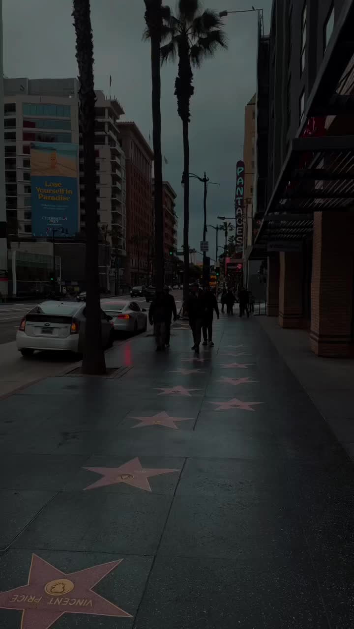 @ɢᴜʀɪ ᴄᴀʟɪꜰᴏʀɴɪᴀ 🗽🌴