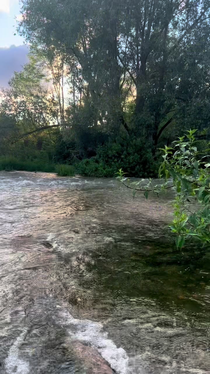 @🇫🇷RishadNoor🧿🌿رشاد نور🇦🇫