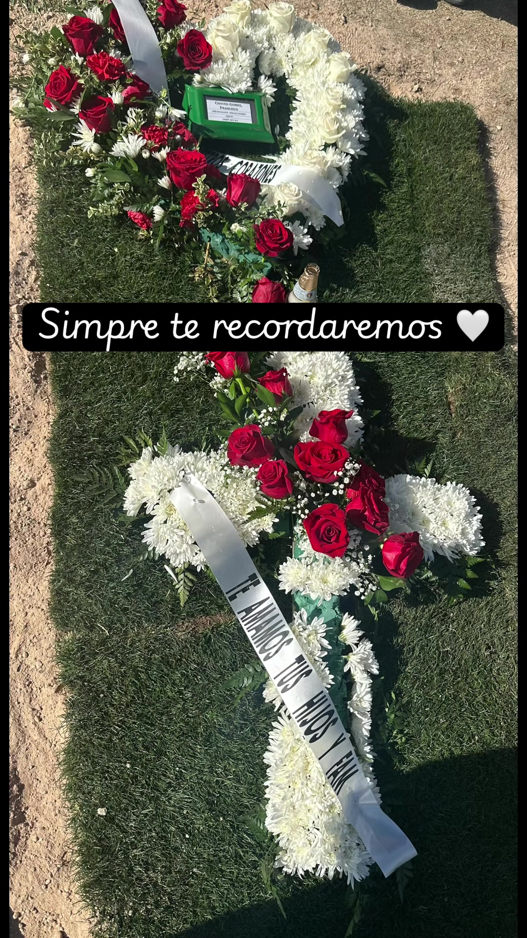 @🦋💜 Joanna 💚🐝