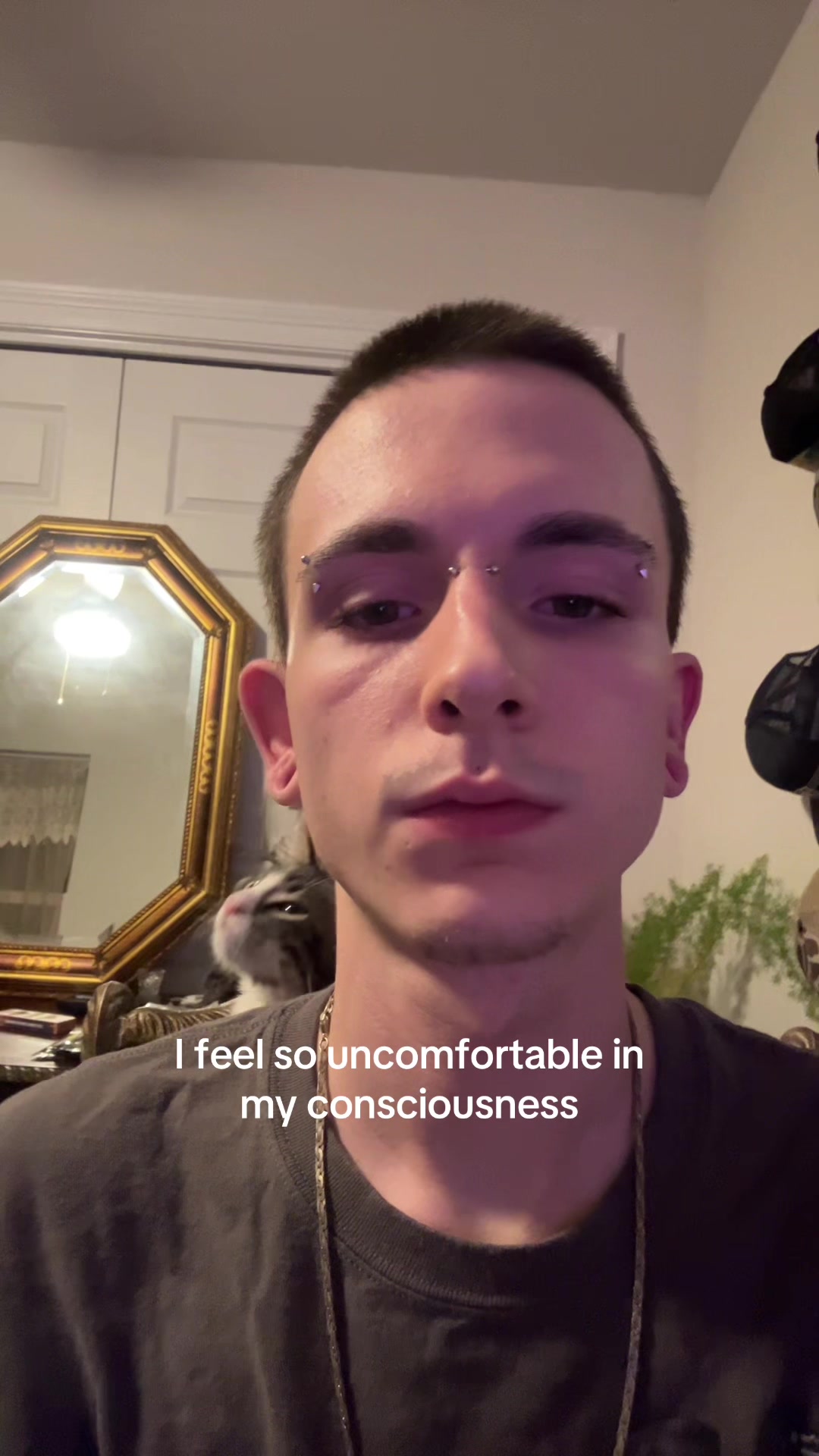@gaven
