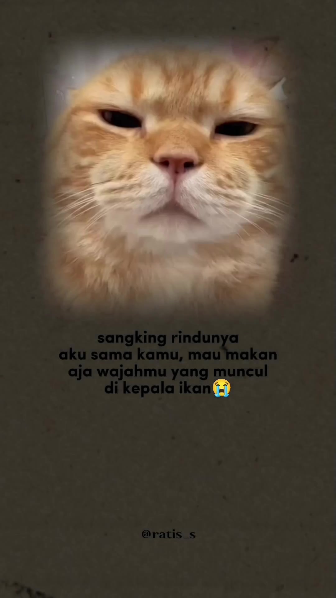 @ratsss