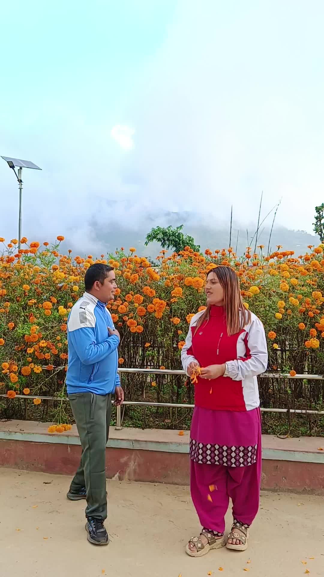 @rashmita chauhan