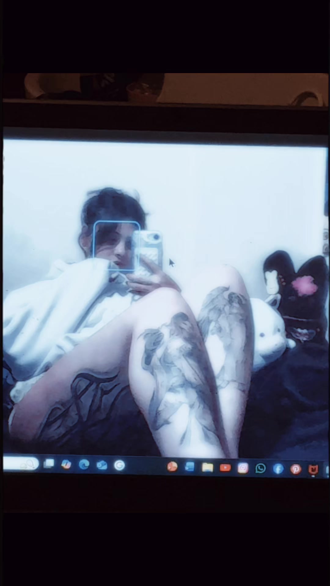 @xenialugert
