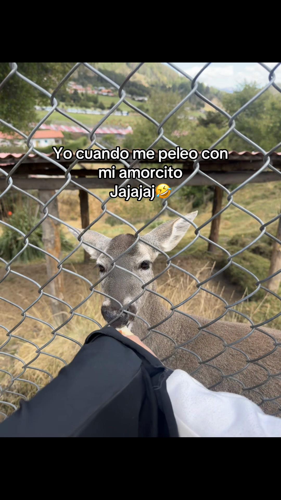@San🍓