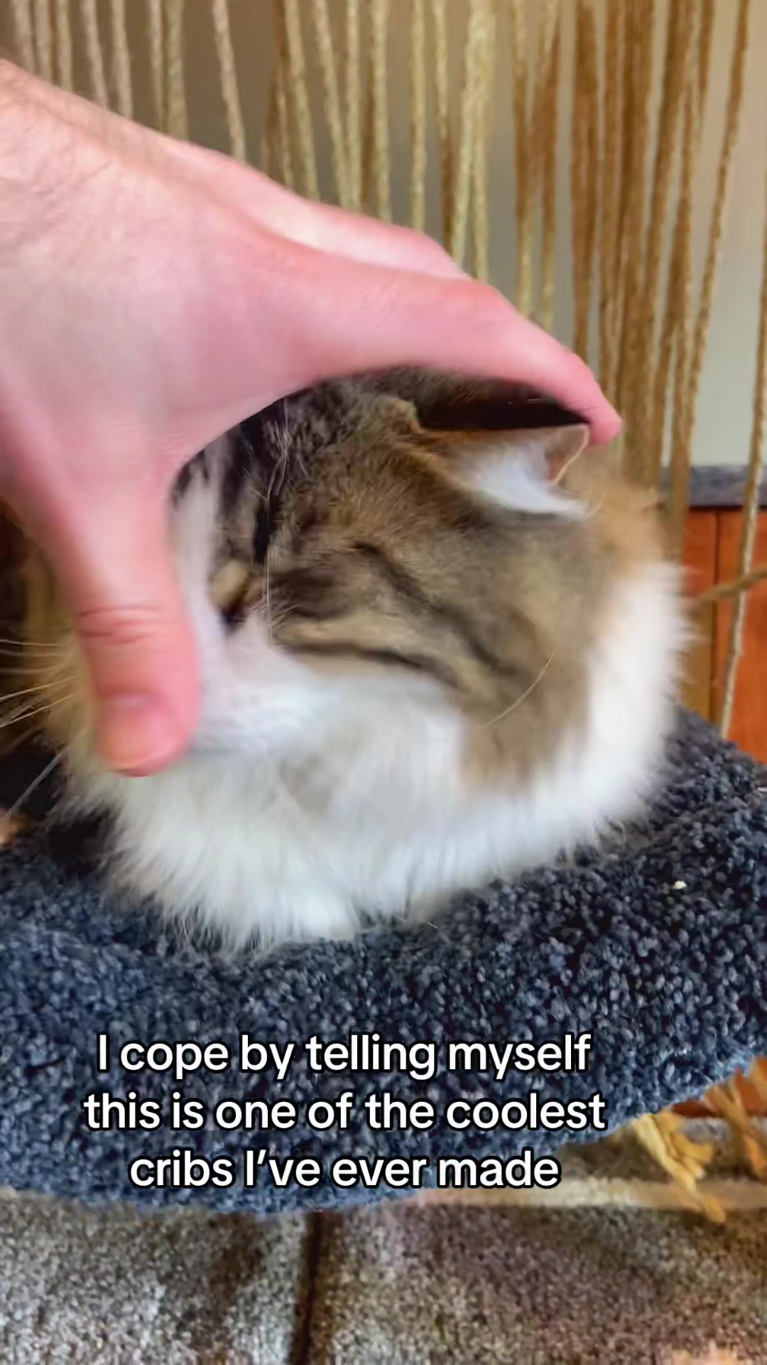 @customcatcribs