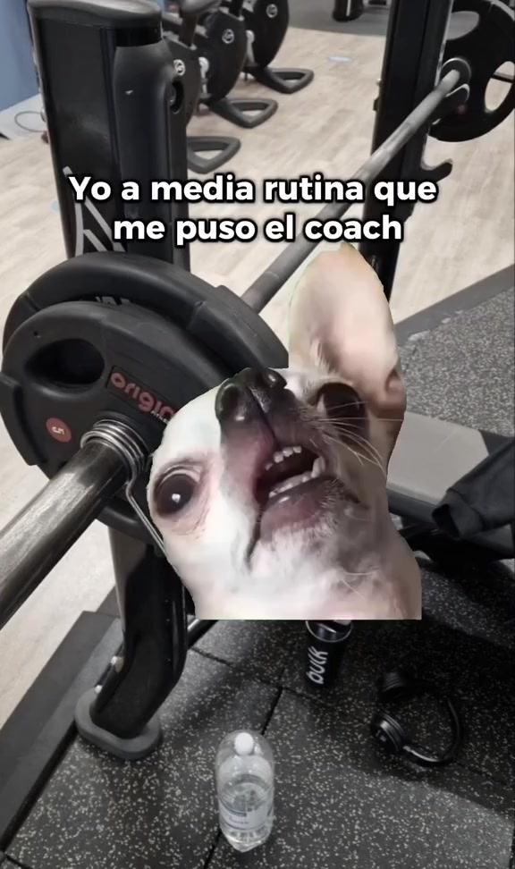 @Nutri&oacute;logo JBL 💪🏼