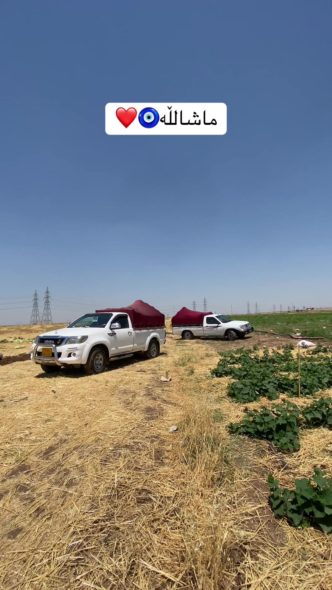 @Hama