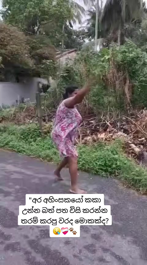 @𝗙𝗔𝗥𝗠 𝗪𝗜𝗡𝗚𝗦