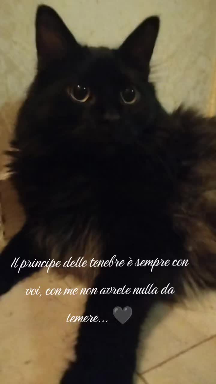 @medearusso