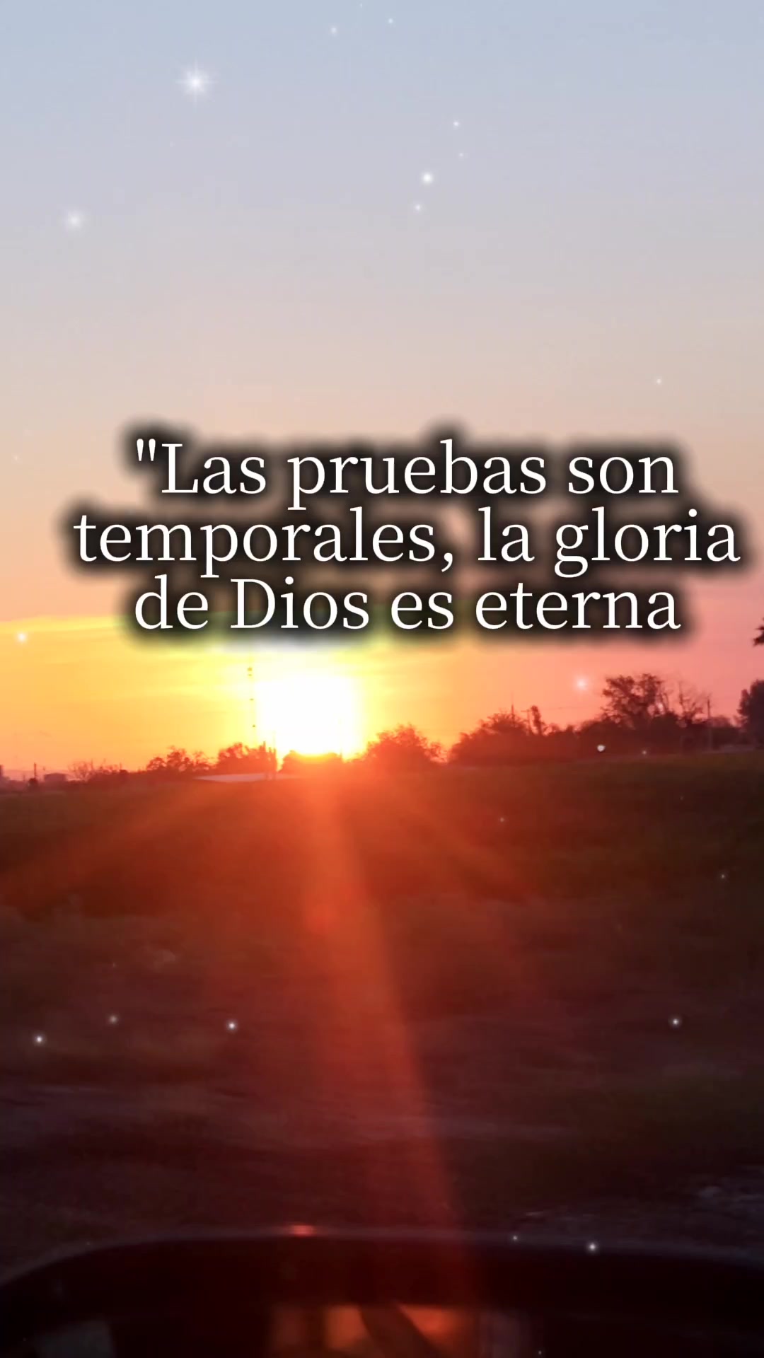 @Elena Salas