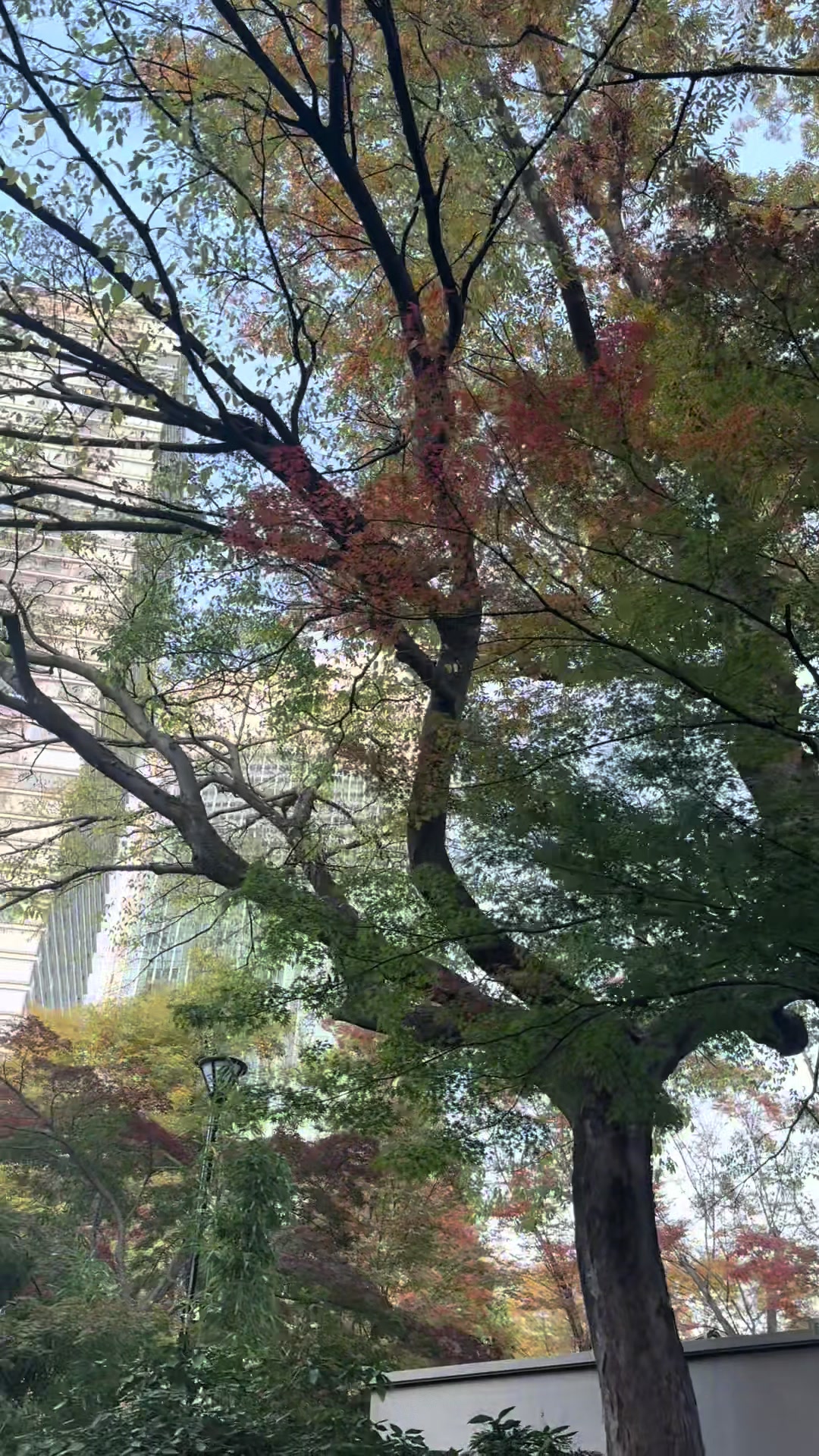 @tokyo.sky.heart