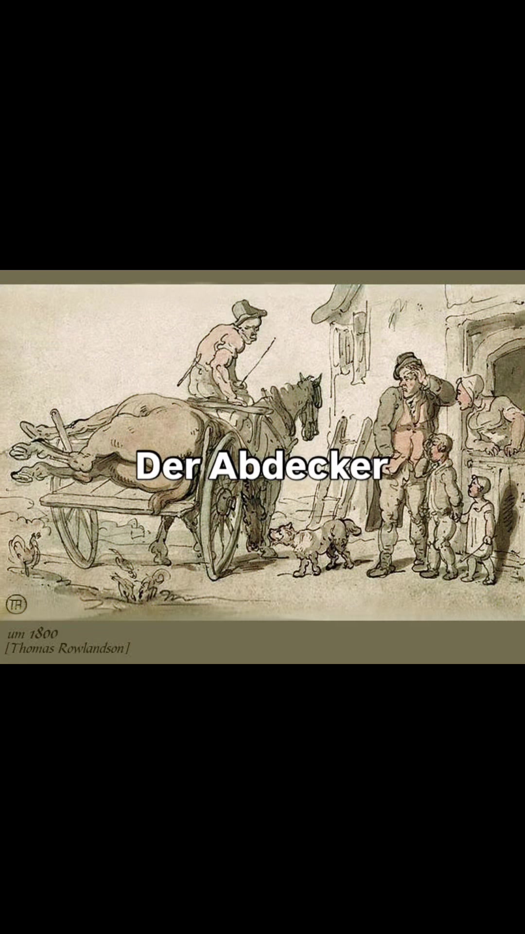 @Schleswig-Holstein pur
