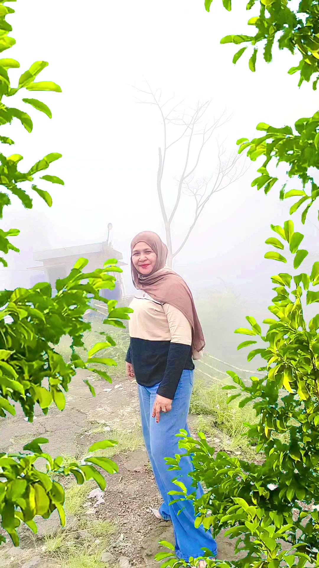 @Bu via